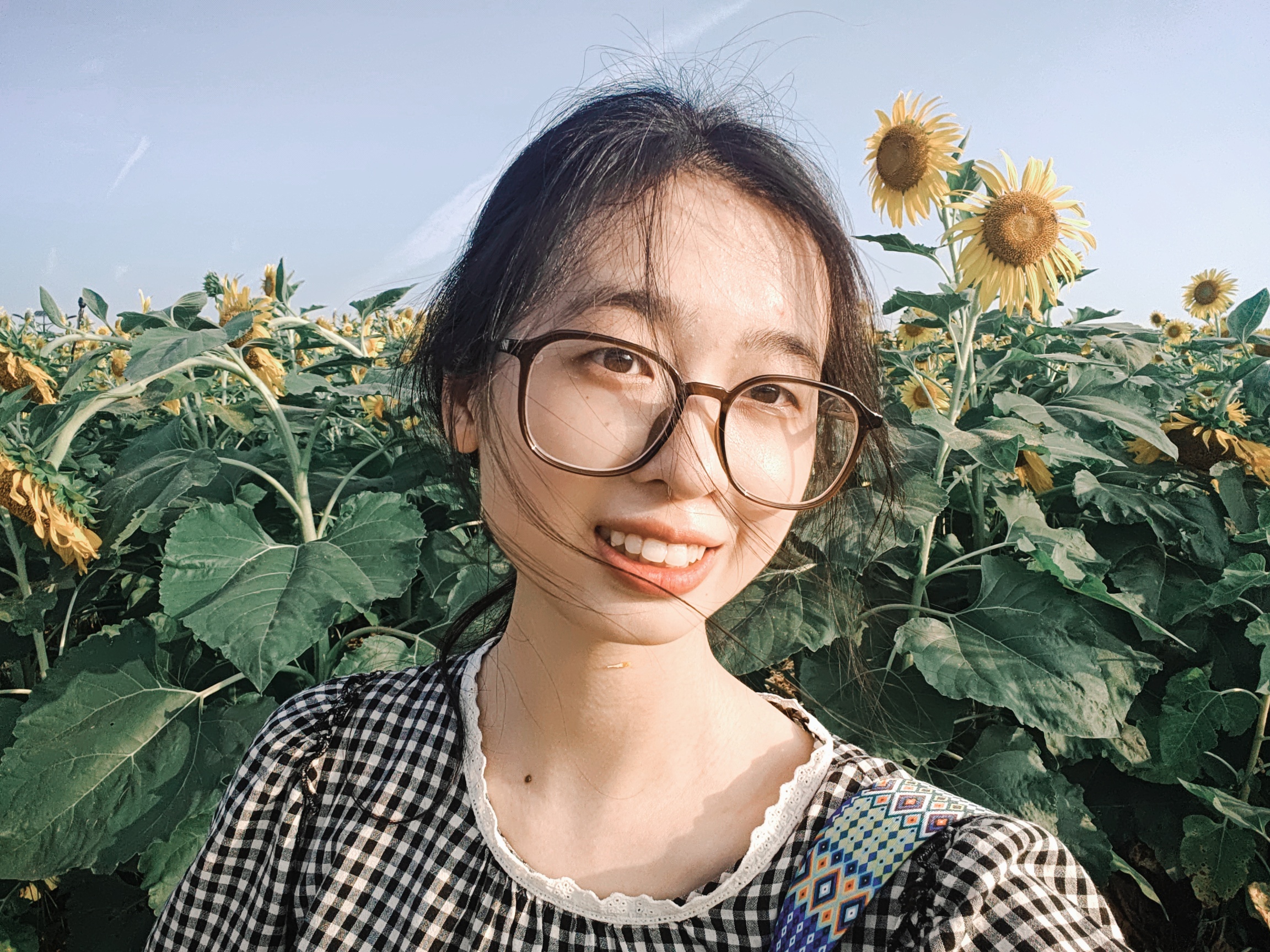 沈丽媛在向日葵花田中的生活照